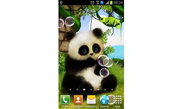 Panda Live Wallpaper for Android - Download the APK from Habererciyes